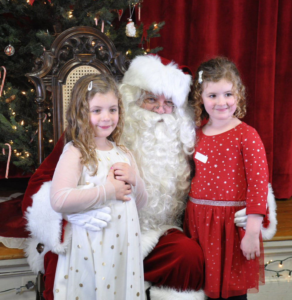 Santa Claus Suit Professional Santa1