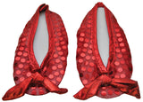Dorothy Shoe Covers