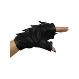 Dragon Trainer Accessories