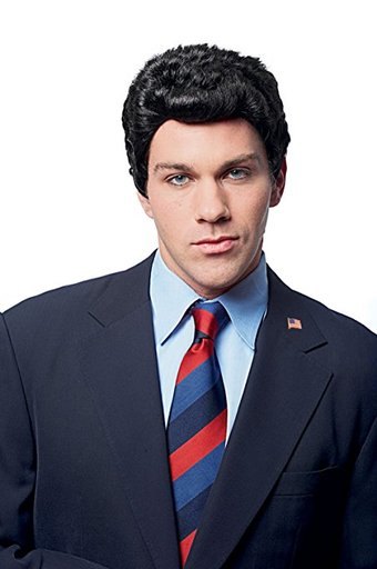 Campaign Wig