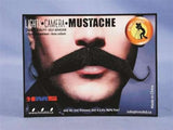 Aristocrat Mustache