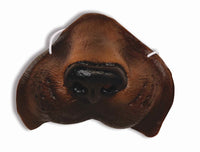 Dog Nose