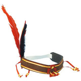 Feather Headband