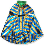 Metallic Pharaoh Hat