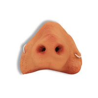 Pig Nose