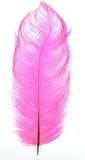 Ostrich Feather Plume