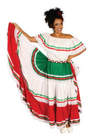 Mexican Costume / Spanish Dancer / Deluxe
