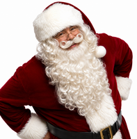 Santa Wig and Beard Set with Separate Mustache / Professional Santa Claus