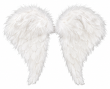 Feather Wings - Medium