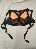 Eva Breasts