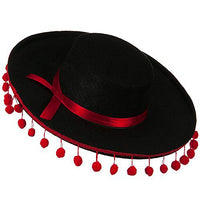 Spanish Gaucho Hat / Zorro / Mariachi / Felt