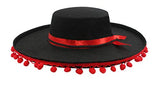 Spanish Gaucho Hat / Zorro / Mariachi / Felt
