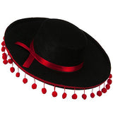 Spanish Gaucho Hat / Zorro / Mariachi / Felt