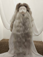 Ancient Wizard Wig & Beard Set