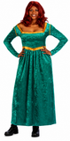 Fiona Costume / Shrek Ogress