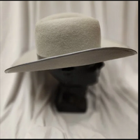 Cavalier / Musketeer / Pirate Hat  Wool Felt / Broadway Quality