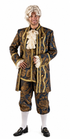 Mozart Costume / 18th Century Colonial Costume / Silk / Broadway Quality
