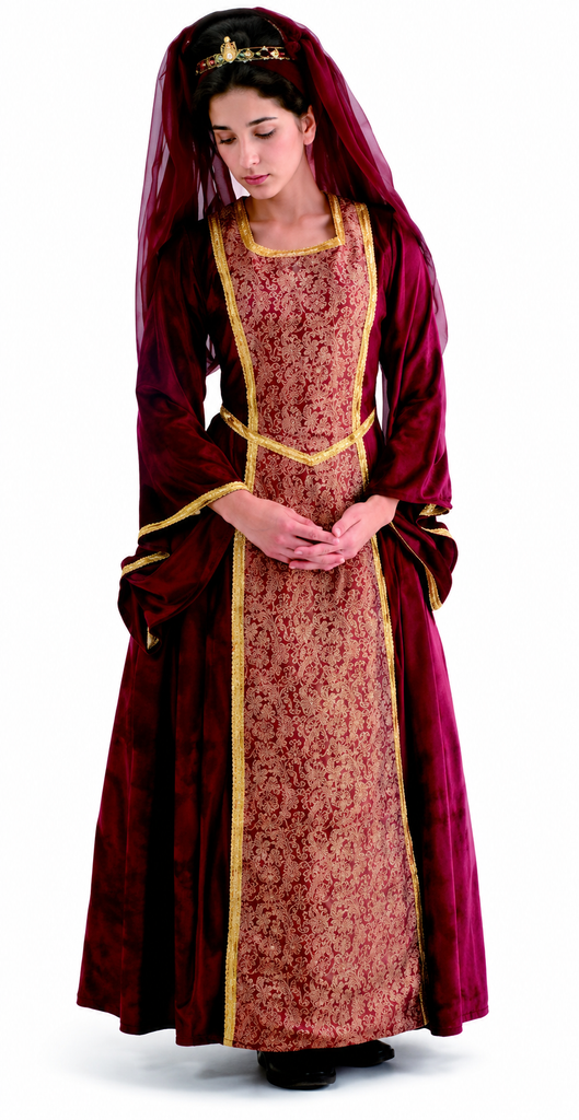 Medieval Queen Costume / 16th Century / Deluxe Tapestry Renaissance Dress