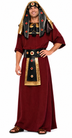 King Tut Costume / Egyptian Pharaoh / Tutankhamen / Deluxe Theatrical Quality