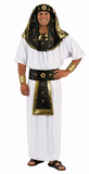 King Tut Costume / Egyptian Pharaoh / Tutankhamen / Deluxe Theatrical Quality