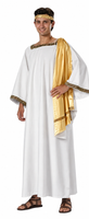 Roman Toga / Caesar Costume / Deluxe