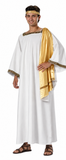 Woman's Toga Costume / Ancient Greece or Rome / Superior Quality