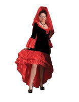 Spanish Senorita Costume /  Flamenco Dancer / Spanish Dancer / Professional