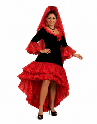 Spanish Dancer Costume / Senorita Costume / Flamenco Dancer / Professional