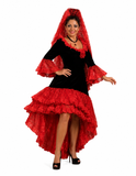 Spanish Senorita Costume /  Flamenco Dancer / Spanish Dancer / Professional