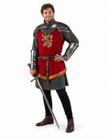 Medieval Knight Costume / Warrior Prince / Professional