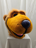 House Bear Mascot Costume