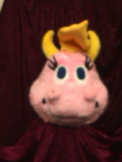 Pink Dragon Mascot Costume
