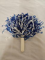 Cheerleader Pom Poms
