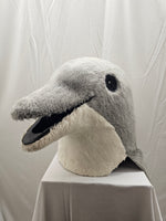 Dolphin Mascot Costume