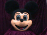 Mr Mouse Mascot Costume