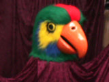 Parrot Mascot Costume