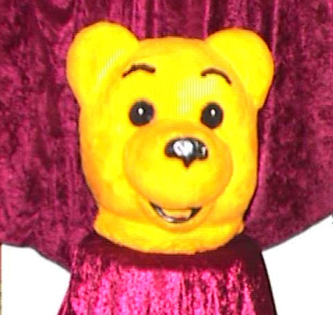 Honey Bear Costume / Deluxe