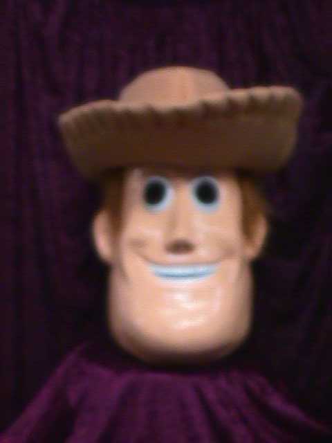 Toy Cowboy Mascot Costume