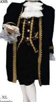 Thomas Jefferson, Beethoven,   Mozart or Colonial Boy Costume