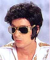 Elvis Wig / Rock Star Wig / 1950's Rock N' Roll Wig / Deluxe