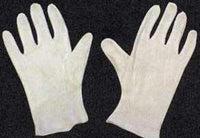 Cotton Glove - Adult 10