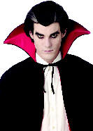 Modern Vampire Wig