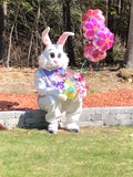 Easter Bunny Costume Rental (Hoppy Bunny)