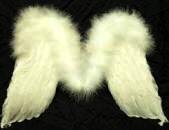 Feather Boa Angel Wings 19