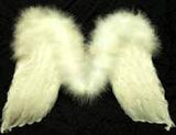 Feather Boa Angel Wings 19" x 17"