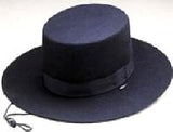 Zorro Hat / Spanish Gaucho Hat / Felt Spanish Hat / Wool Felt with Hat Band