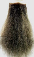 Pointed Goatee 9