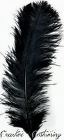 Ostrich Feather Plume 22