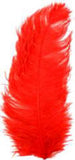 Ostrich Feather Plume 22"