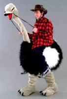 Riding the Ostrich Mascot Costume